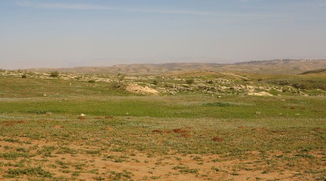 krajina u Tel Krayot - pomezí Negevu a Judských hor (1)