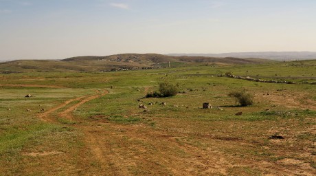 krajina u Tel Krayot - pomezí Negevu a Judských hor (2)