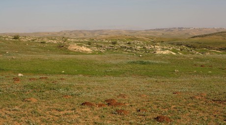 krajina u Tel Krayot - pomezí Negevu a Judských hor (3)