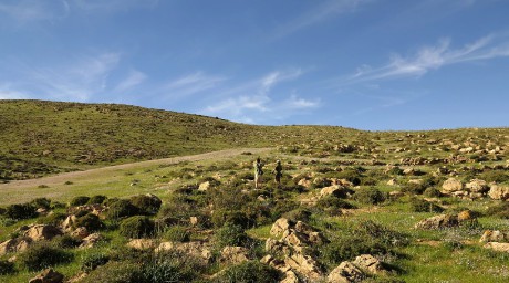 krajina u Tel Krayot - pomezí Negevu a Judských hor (6)