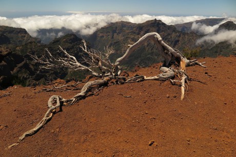 Madeira_2015_07_28 (43)_na vrcholu Pico Ruivo 1862 m.n.m.