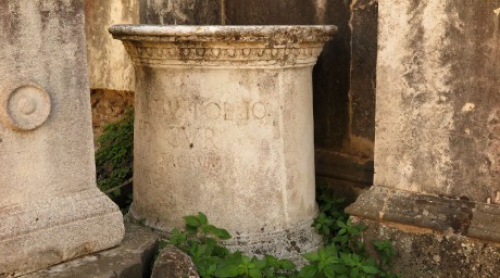 Forum Romanum (16)