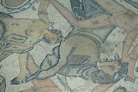Pula_římská mozaika_Potrestání Dirké (3)