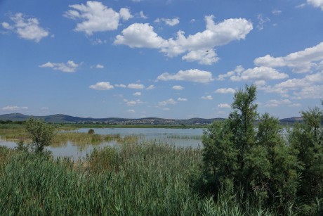 2017_07_Chorvatsko_Vranské jezero (9)