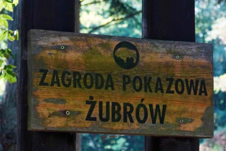 2018_09-21_Woliński Park Narodowy (24)