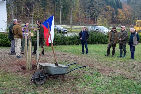 2018_10_26_Výsadba památné lípy na školním polesí České lesnické akademie Trutnov (1)