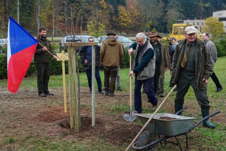 2018_10_26_Výsadba památné lípy na školním polesí České lesnické akademie Trutnov (12)