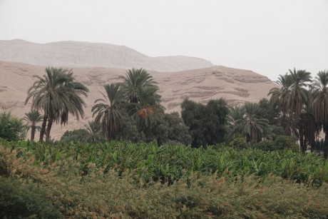 Nil - plavba z Kóm Ombo do Luxoru-0014