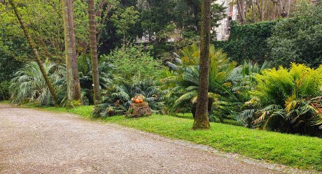 Lisabon_botanická zahrada_2024_03_14_0079_result