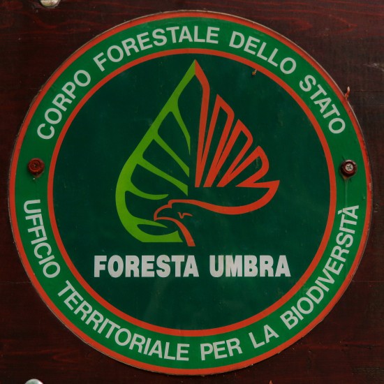 Foresta Umbra - NP Gargano