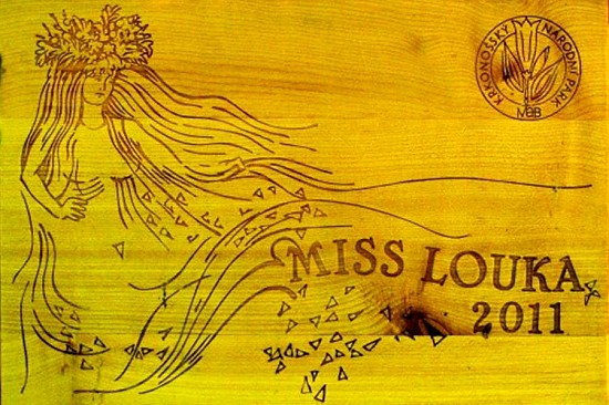 Miss louka 2011